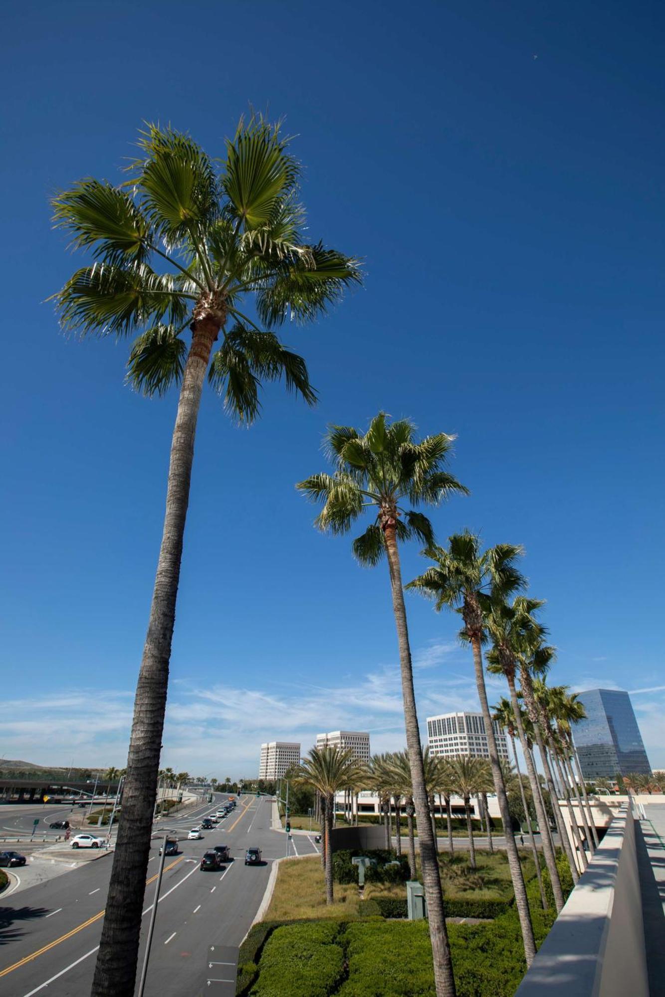 Hyatt Regency Irvine Hotel Luaran gambar